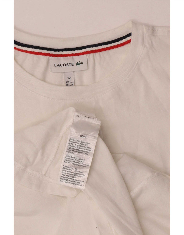 Camiseta Lacoste Menino 11-12 Anos Algodão Branco