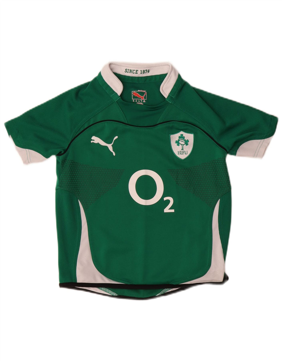Camiseta PUMA Boys IRFU Graphic Top 9-10 anos Verde Colorblock