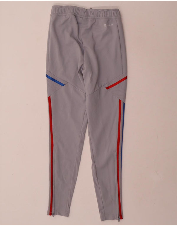 Calça Adidas Masculina Olympique Lyonnais Graphic Treino XS Cinza