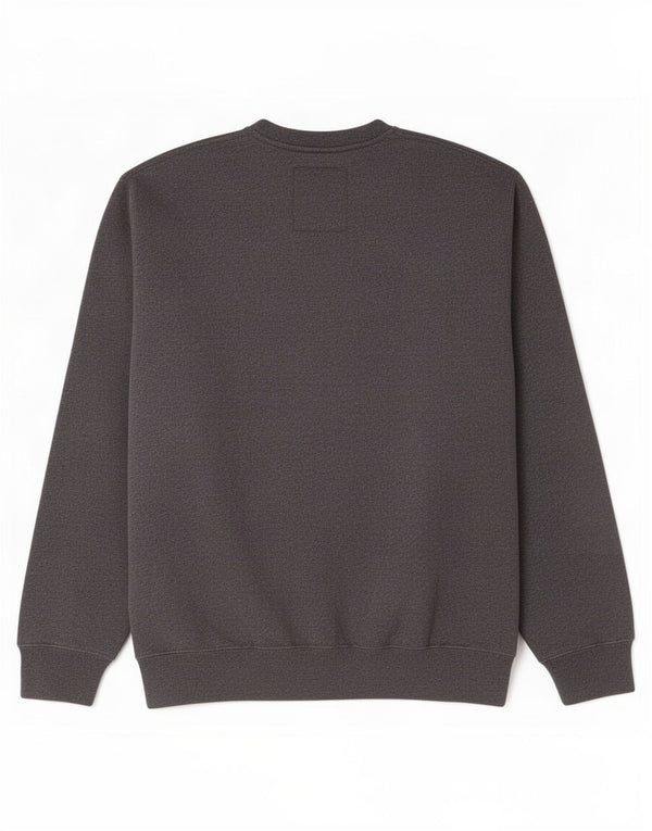 Champion moletom gráfico masculino jumper grande algodão cinza