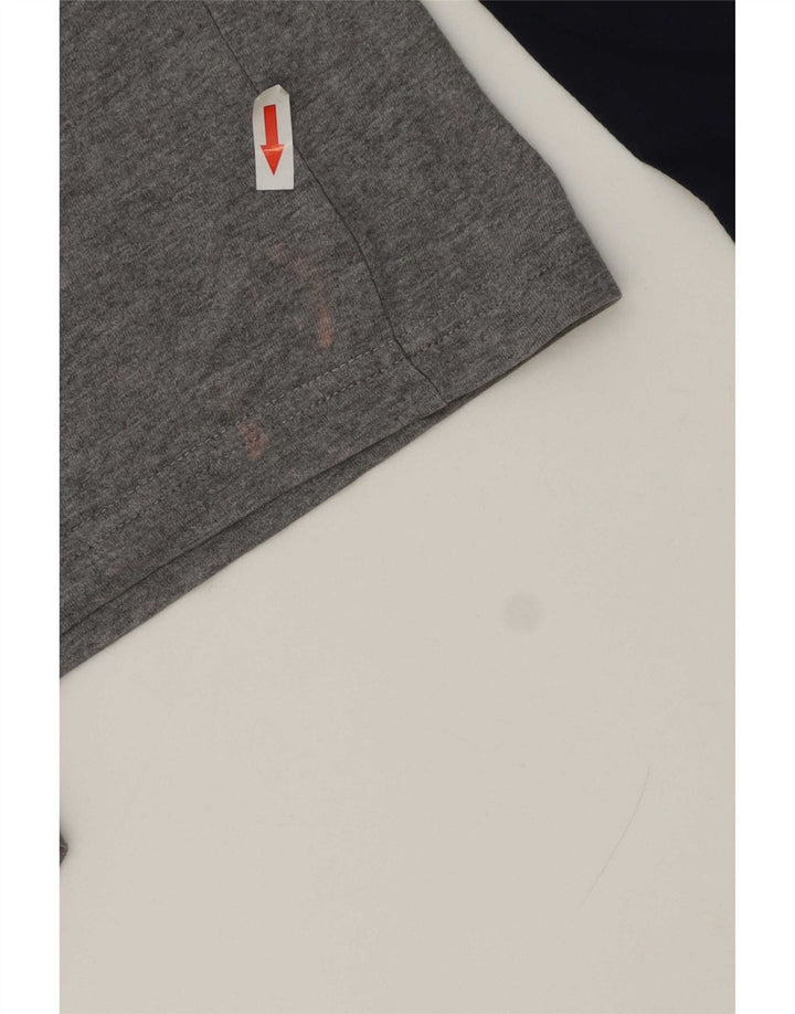 Fila Camiseta masculina gráfica manga comprida pequena cinza colorblock algodão
