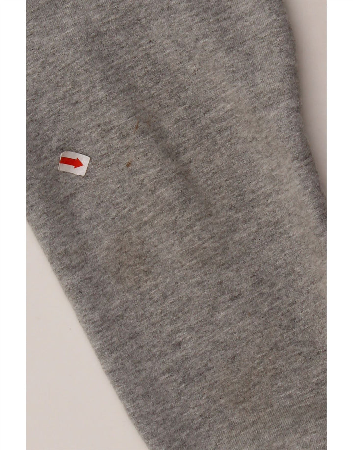 THE NORTH FACE Suéter gráfico masculino com capuz e algodão bloco colorido cinza pequeno