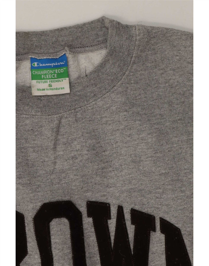 Champion Mens Graphic Regular Fit Suéter Pequeno Cinza