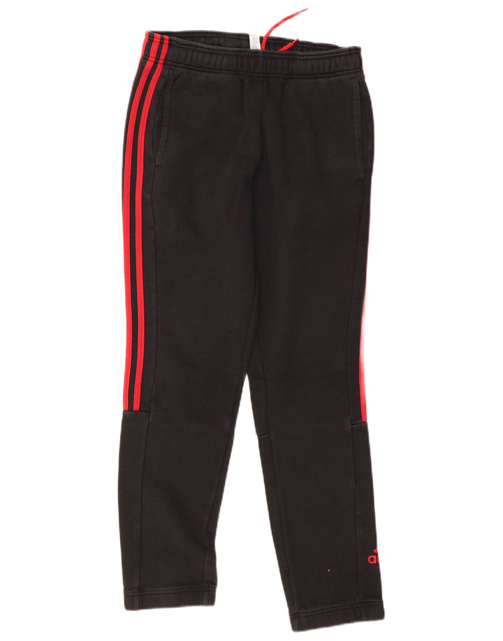 Calça de treino masculina ADIDAS joggers pequeno algodão cinza