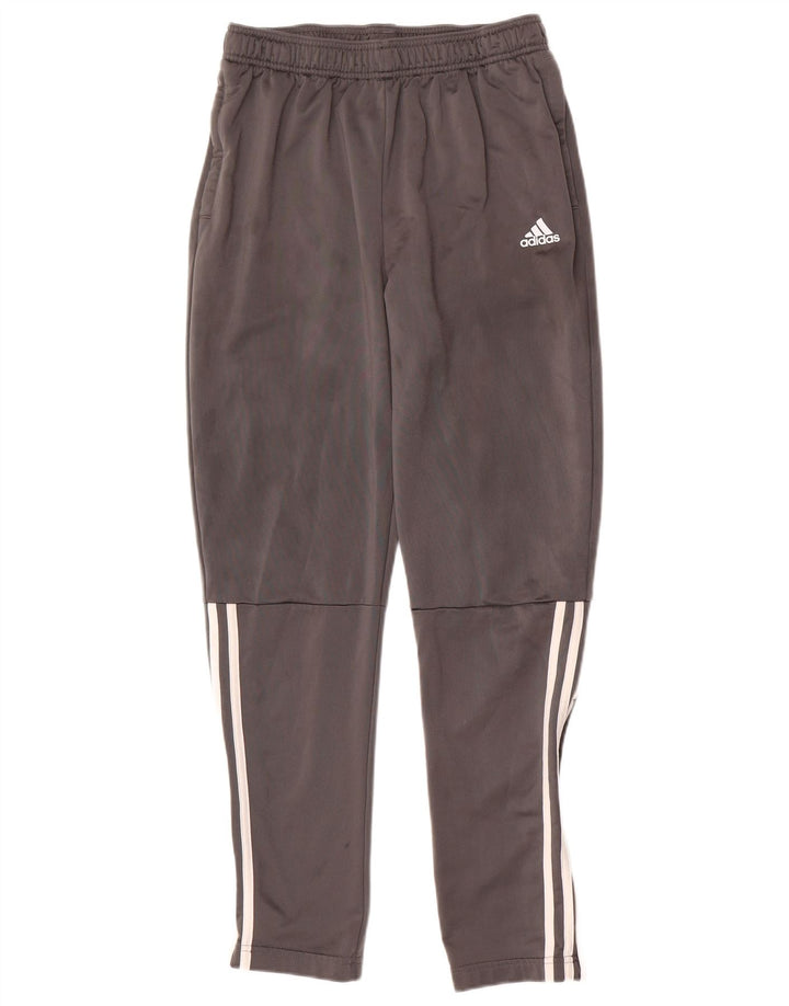 Calças de treino Adidas meninos 15-16 anos cinza poliéster