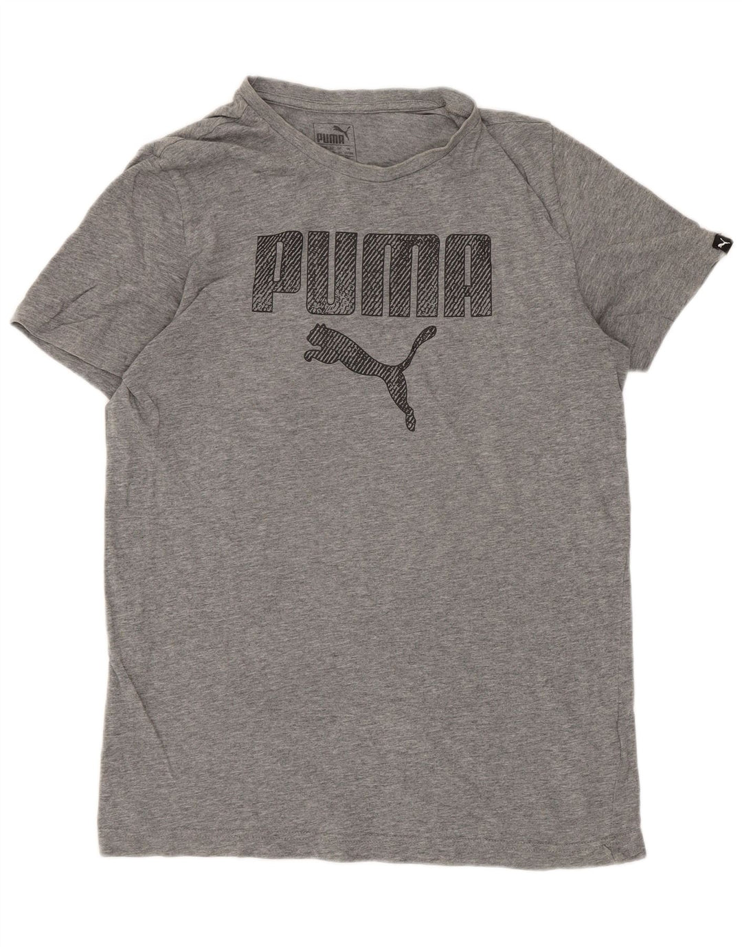 Camiseta Puma Boys Regular Graphic Top 15-16 Anos Cinza Algodão