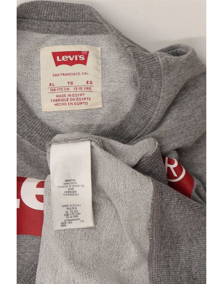 Moletom gráfico Levi's Boys 13-14 anos XL cinza algodão