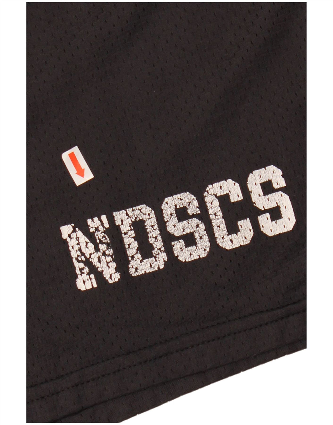 Shorts esportivos gráficos masculinos Champion XL preto nylon