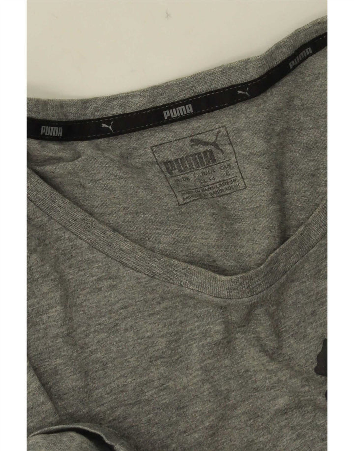 Puma Camiseta Masculina Graphic Top Grande Cinza