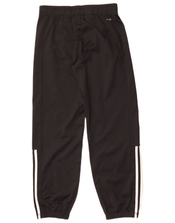Adidas meninos Climalite calças de treino joggers 11-12 anos preto
