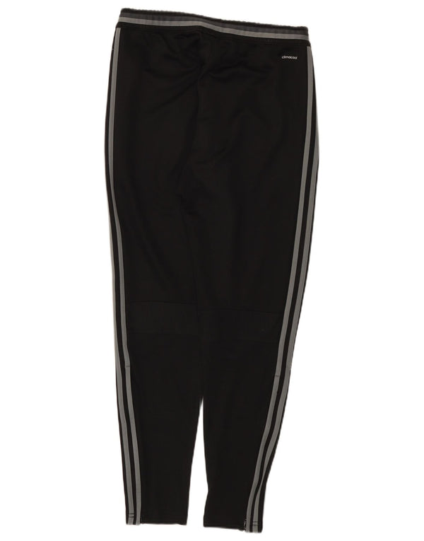 Adidas masculino climacool gráfico calças de treino pequeno poliéster preto