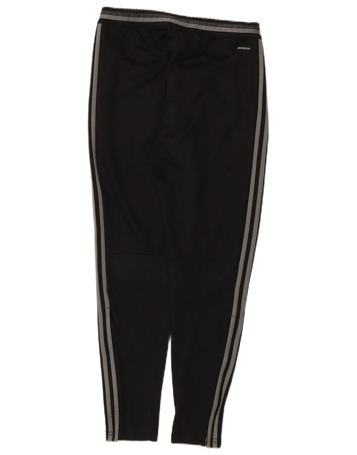 Adidas masculino climacool gráfico calças de treino pequeno poliéster preto