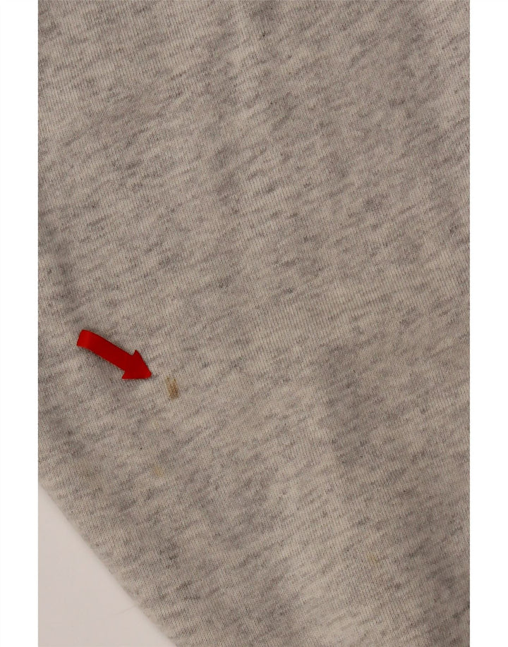 Jumper com capuz gráfico masculino Champion XL cinza