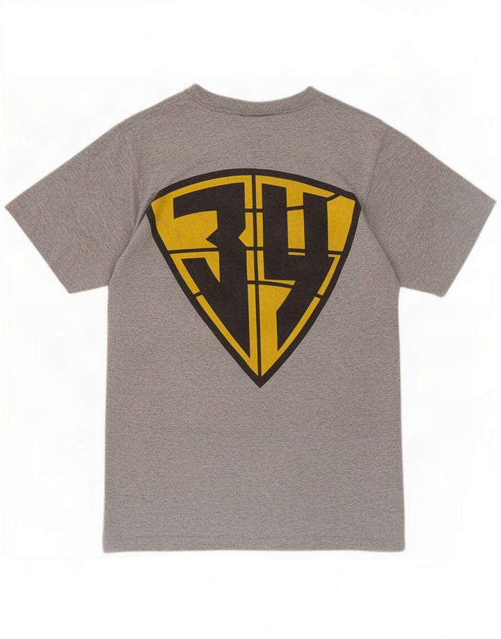 Reebok Camiseta Masculina Graphic Top Pequeno Cinza