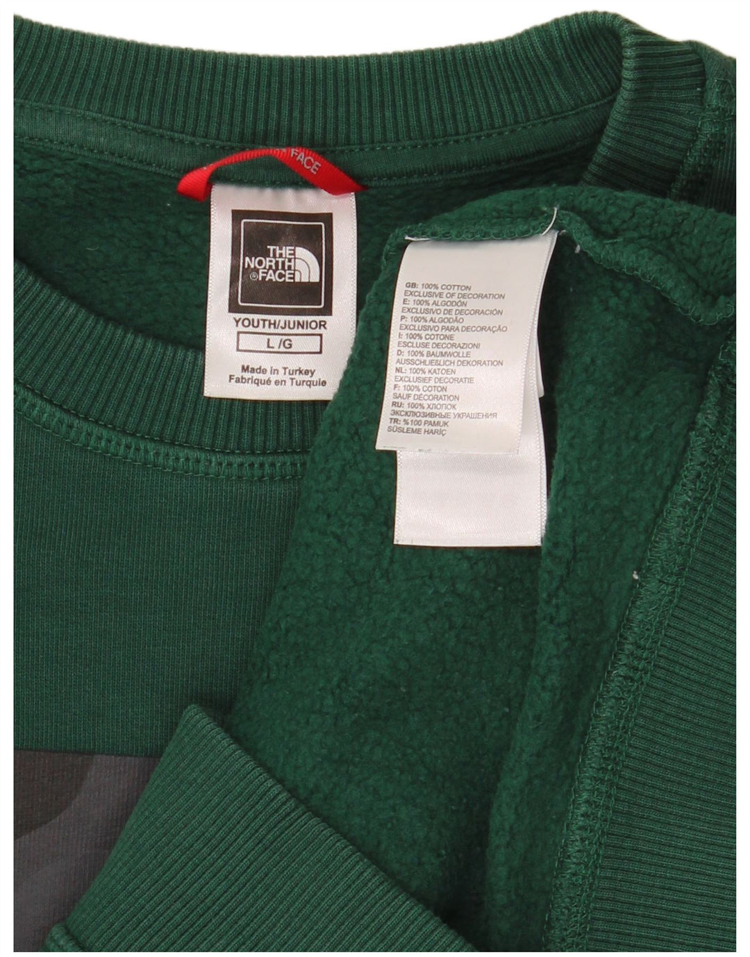 Suéter gráfico THE NORTH FACE Boys Graphic 11-12 anos grande verde