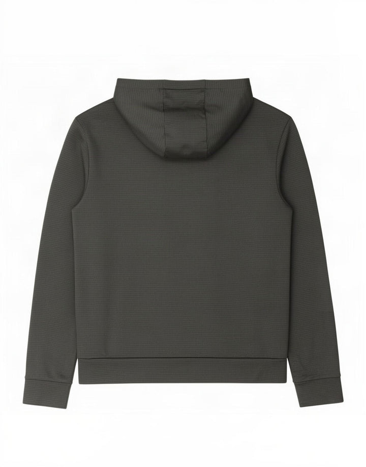 Suéter com capuz gráfico masculino The North Face grande poliéster cinza