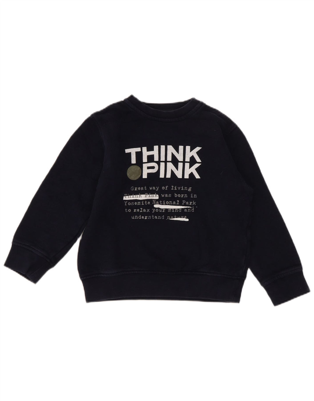 Suéter Think Pink Boys Graphic Regular Fit 4-5 Anos Azul Marinho