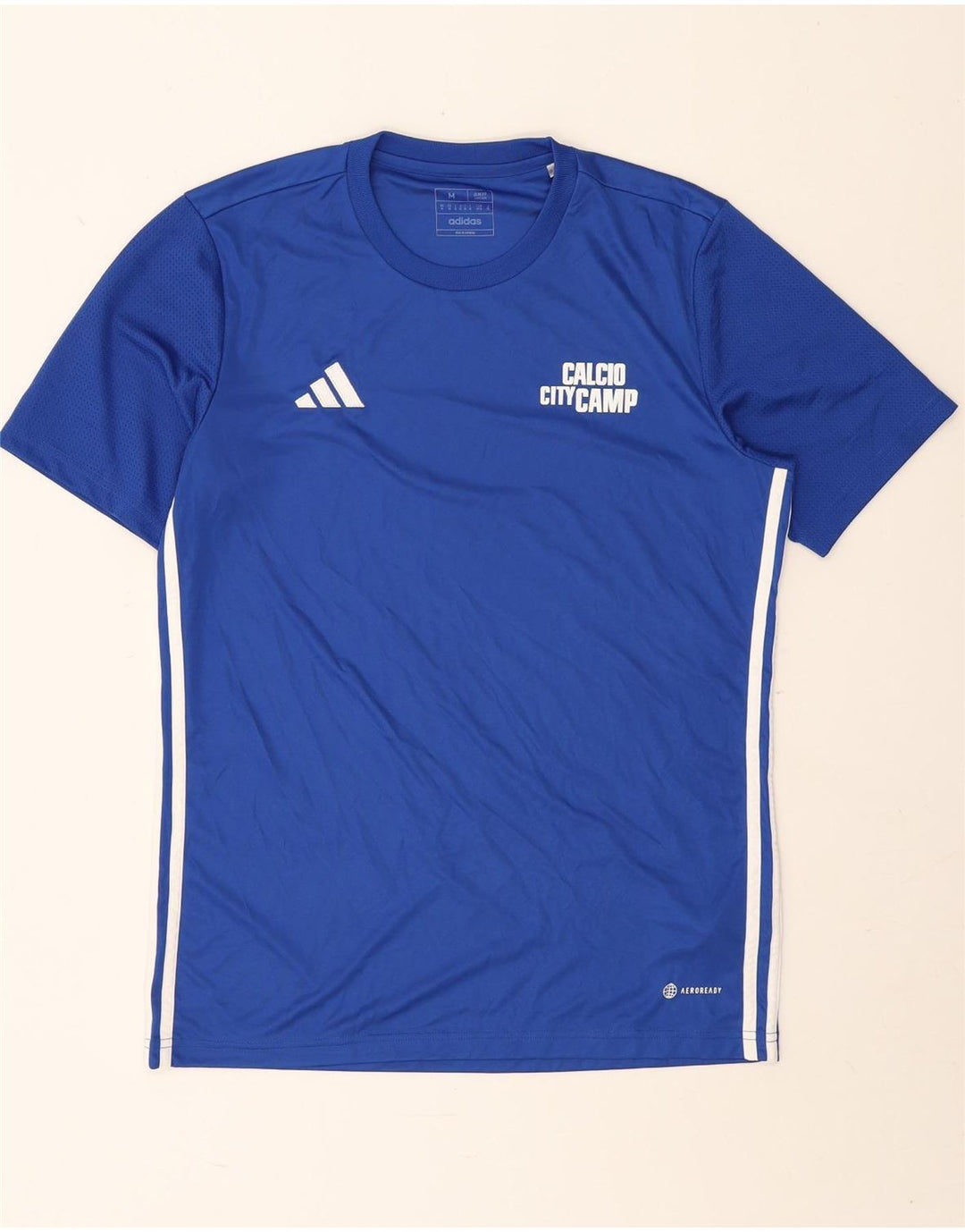 Camiseta Adidas Masculina Aeroready Slim Fit Graphic Top Médio Azul Poliéster