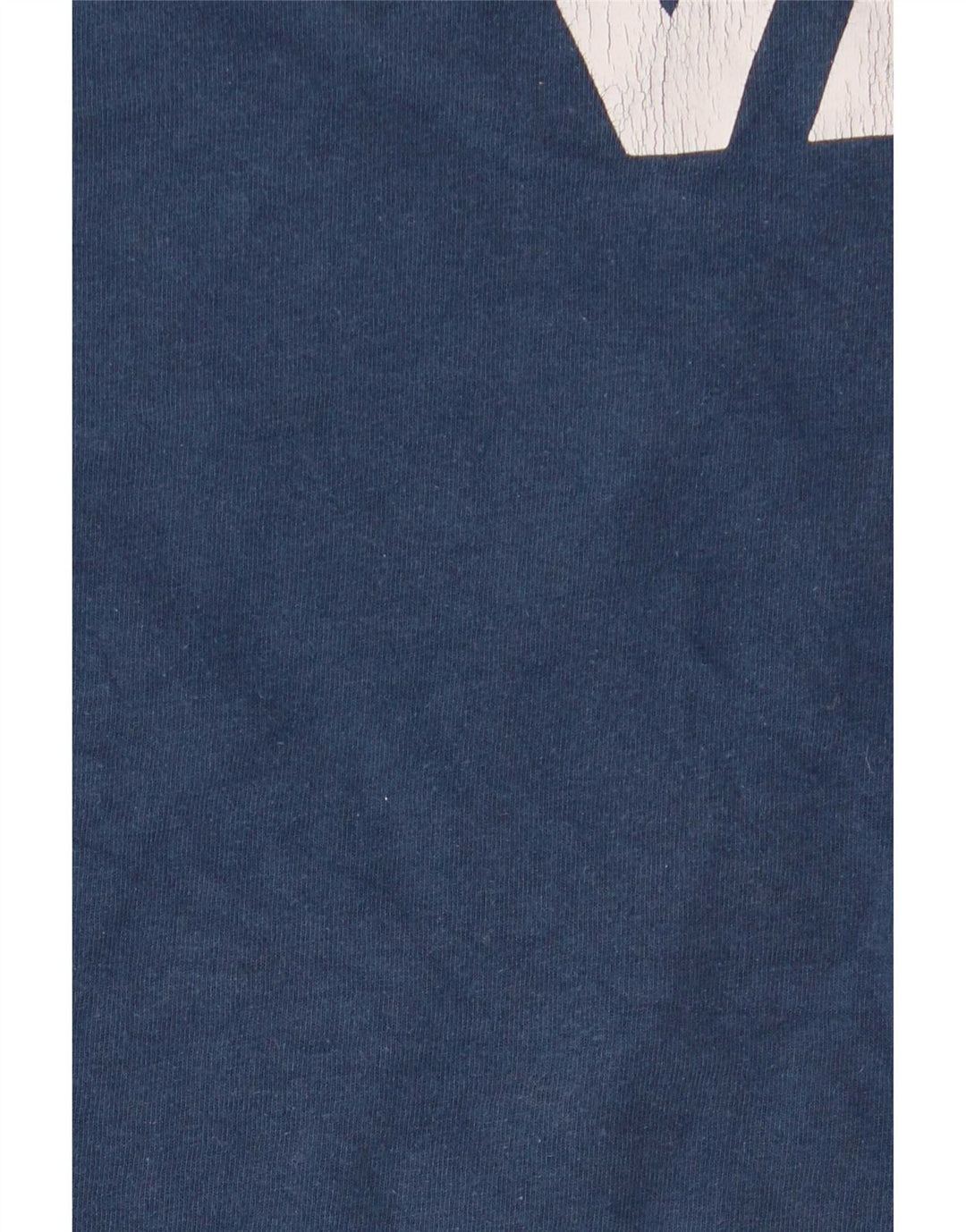 Camiseta Vans Masculina Graphic Top XL Azul Algodão