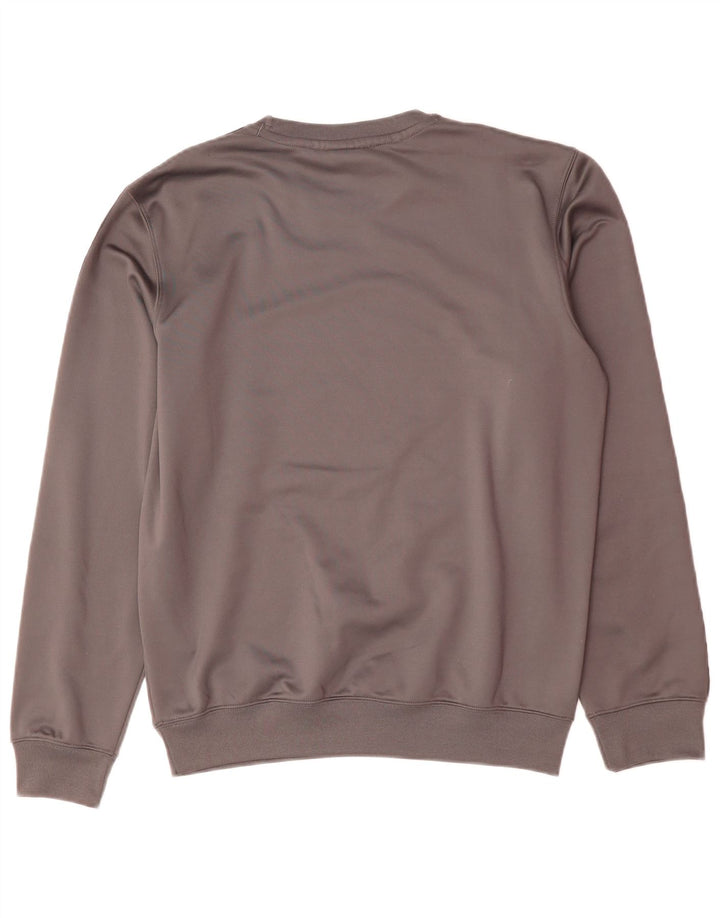 Champion moletom masculino gráfico jumper pequeno poliéster cinza