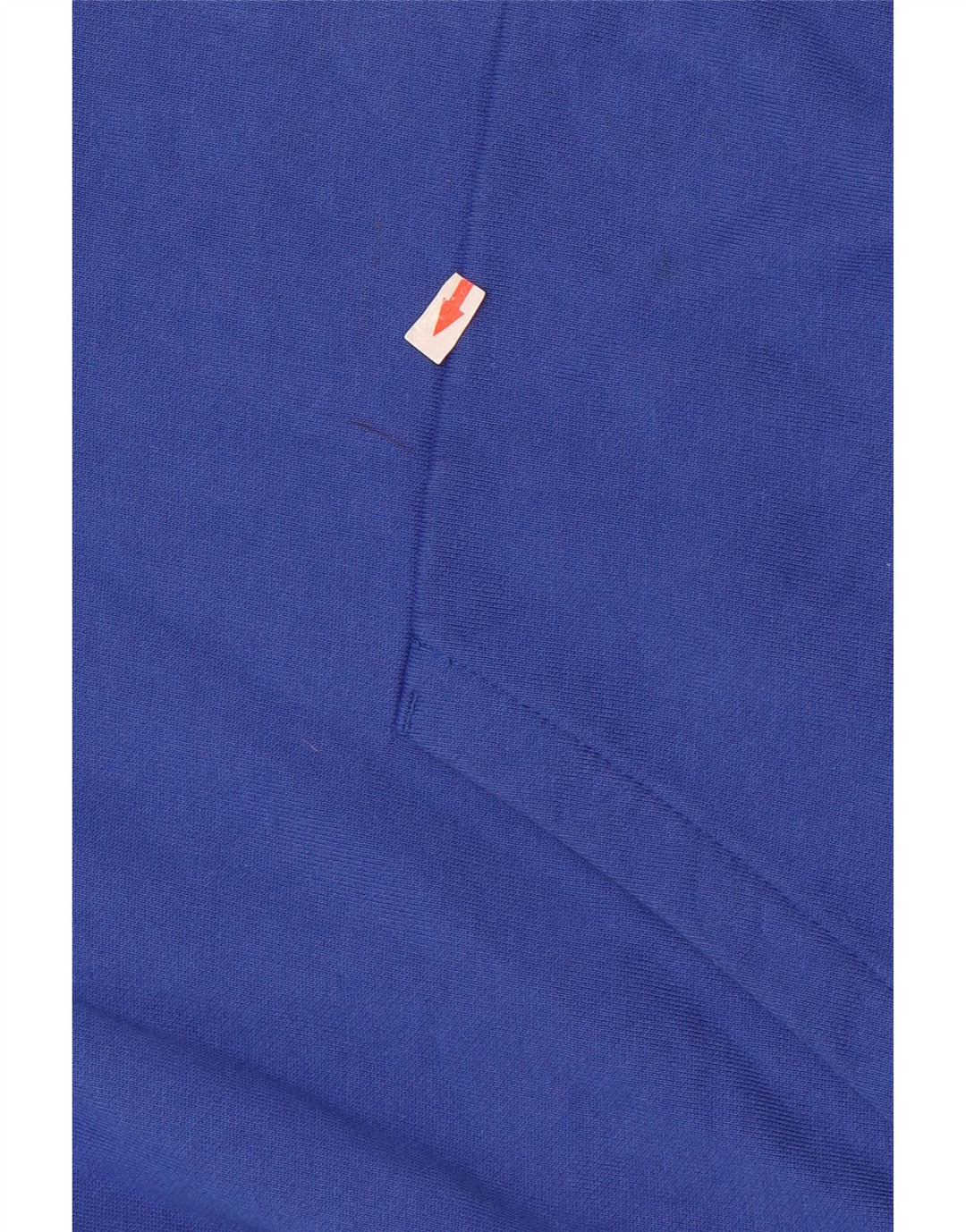 Jumper com capuz gráfico masculino Champion médio azul algodão