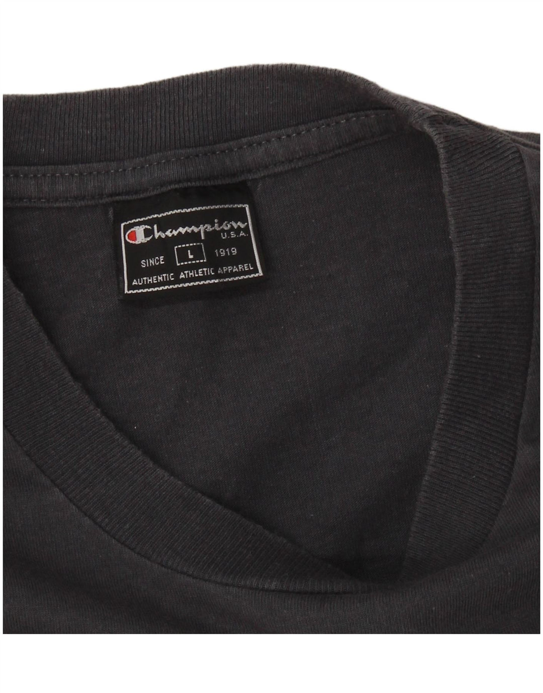 CAMPEÃO Camiseta Masculina Top Grande Cinza