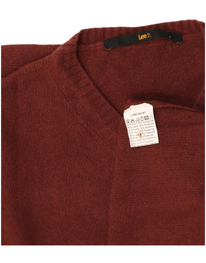 Suéter masculino LEE com decote em V grande lã marrom