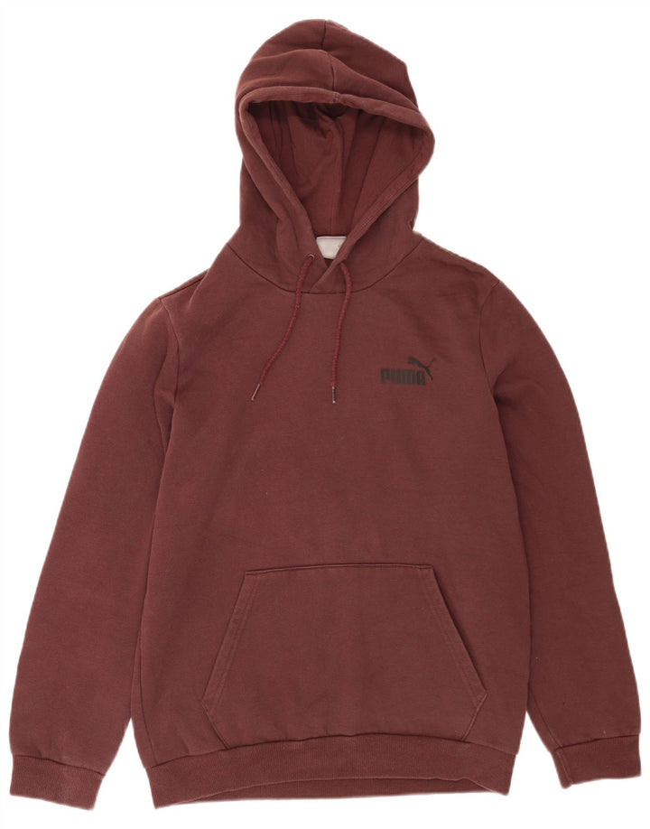 Puma masculino gráfico moletom com capuz pequeno algodão marrom