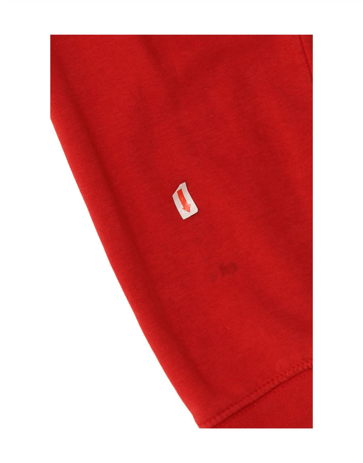 CHAMPION Suéter com capuz gráfico masculino médio vermelho