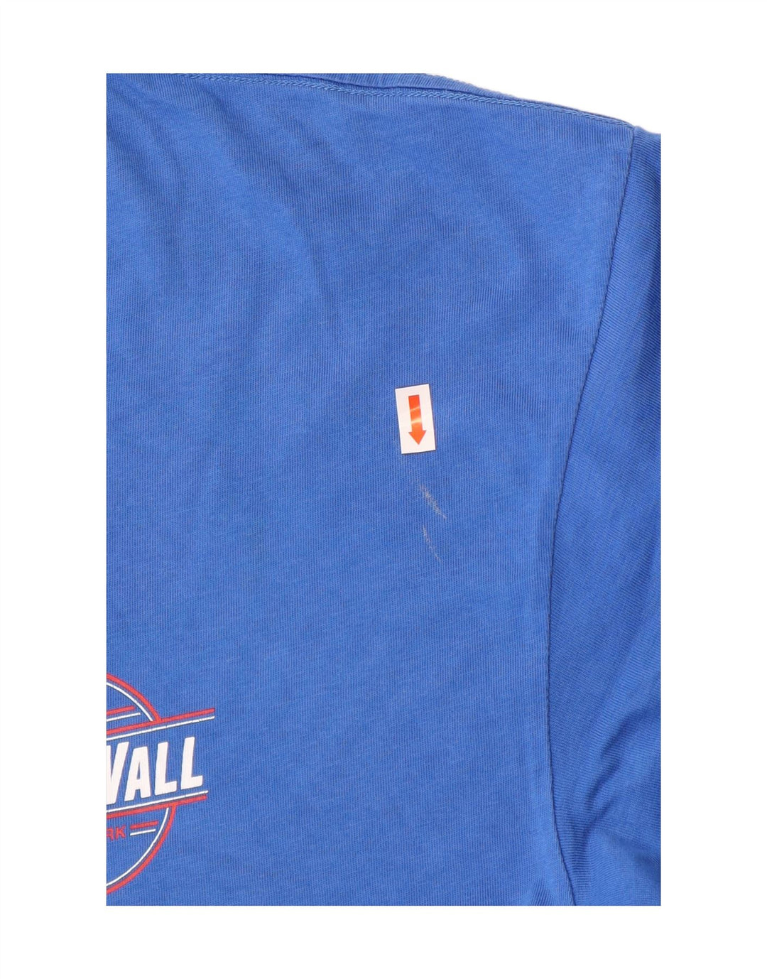 Camiseta VANS Masculina Classic Graphic Top Grande Algodão Azul