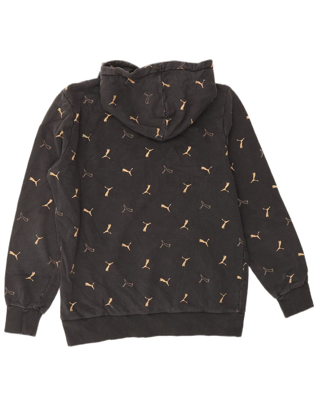 PUMA Mens Graphic Hoodie Jumper Médio Algodão Preto