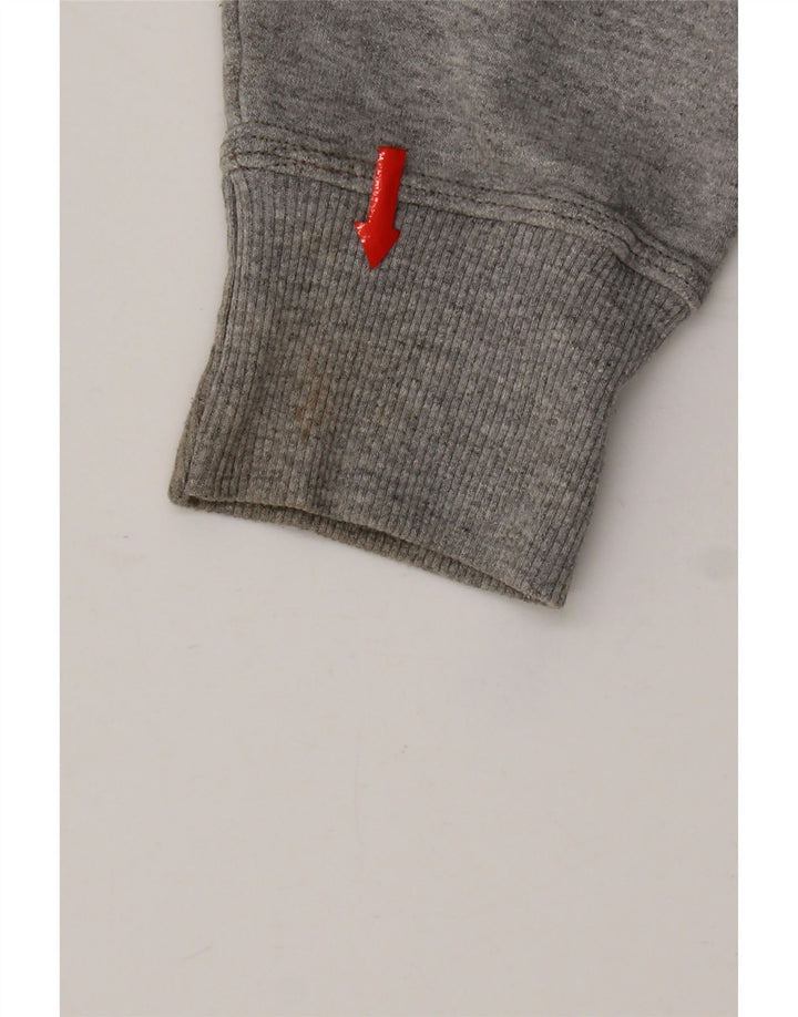 Champion moletom masculino gráfico jumper pequeno algodão cinza
