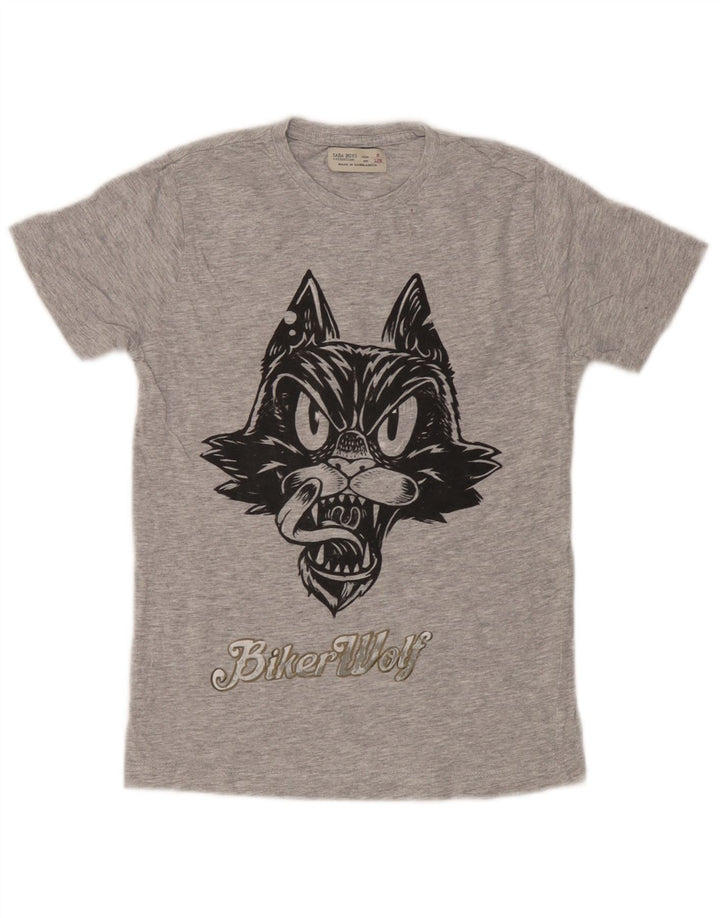 Top Zara Boys Graphic T-Shirt 7-8 Anos Cinza