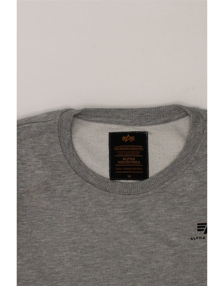 ALPHA INDUSTRIES Boys Sweatshirt Jumper 15-16 Years  Grey Cotton Vintage Alpha Industries and Second-Hand Alpha Industries from Messina Hembry 