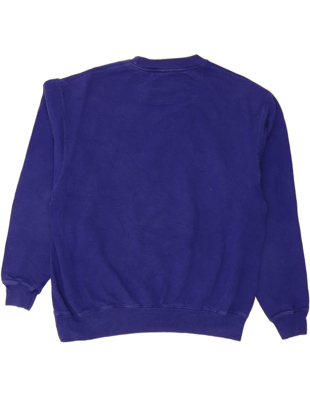 CHAMPION Mens Sweatshirt Jumper Large Blue Cotton Vintage Champion and Second-Hand Champion from Messina Hembry 
