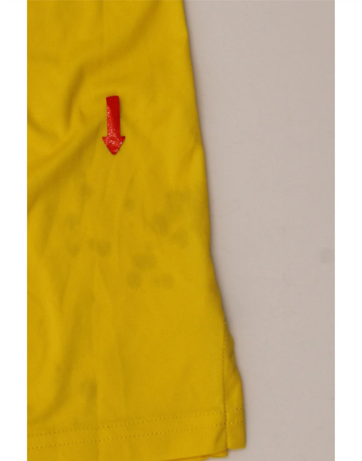 Camiseta masculina Puma BVB Dortmund Graphic Top XL Amarelo