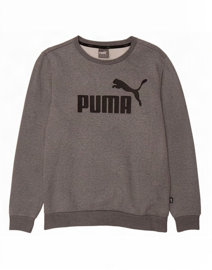 Puma Mens Graphic Moletom Jumper Pequeno Cinza