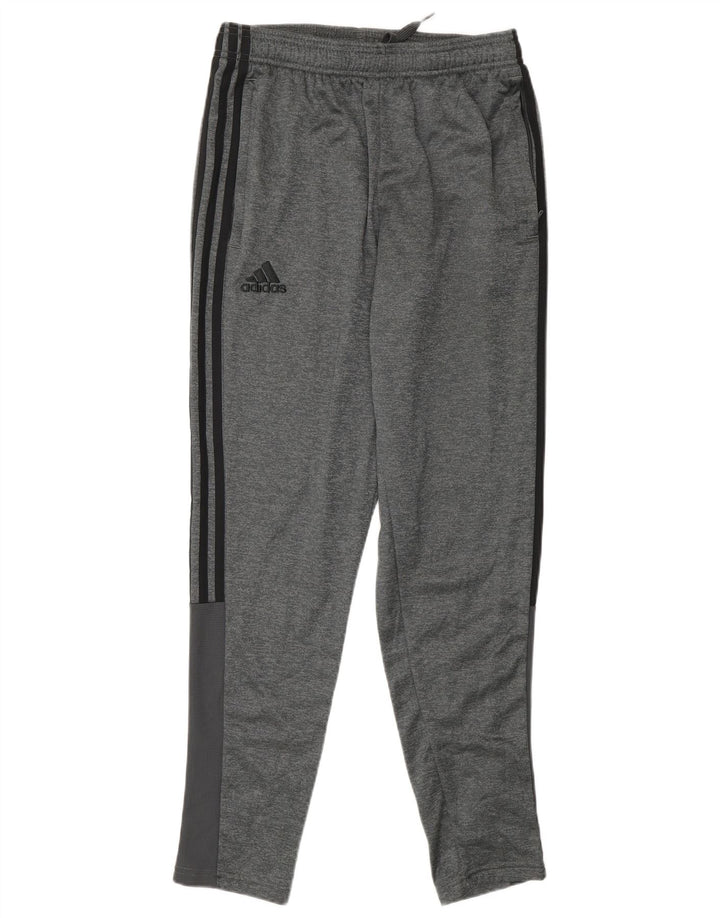 Calça de treino masculina Adidas pequena cinza poliéster