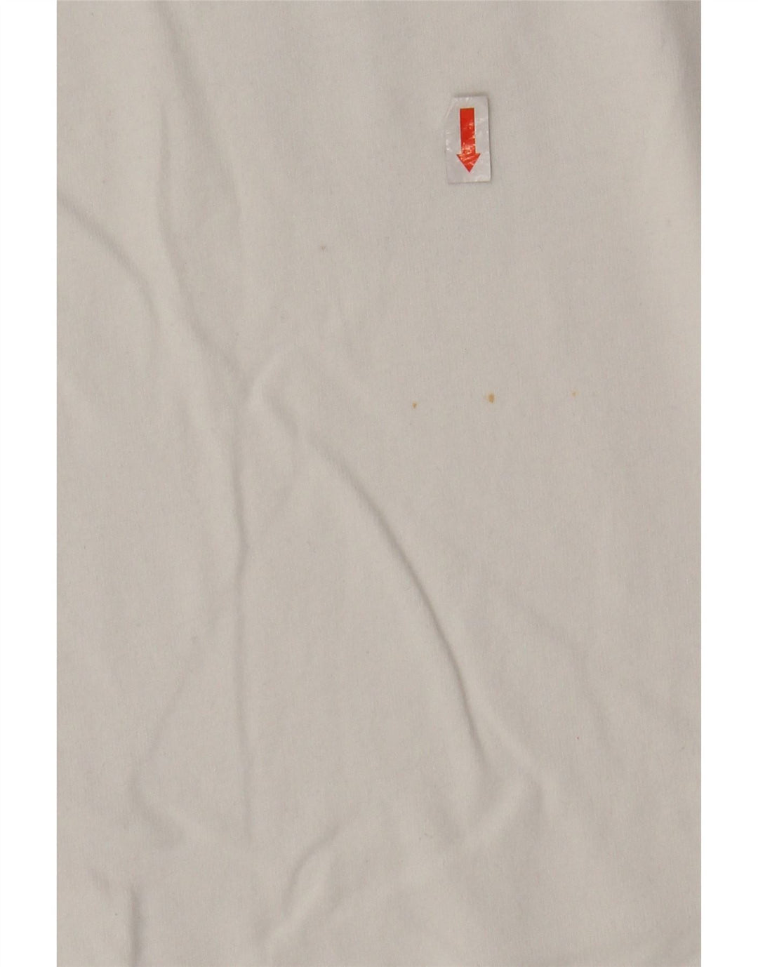 Camiseta masculina gráfica SUPERDRY grande algodão branco