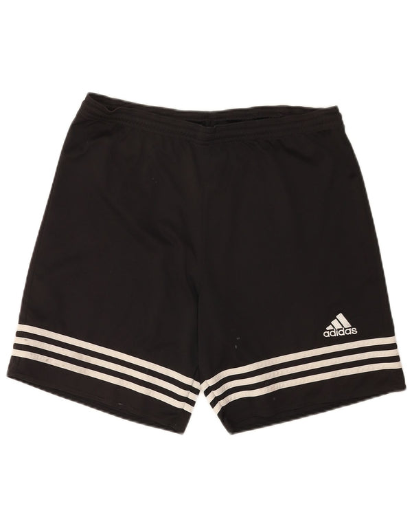 Adidas Masculino Climalite Sport Shorts Médio Preto Poliéster