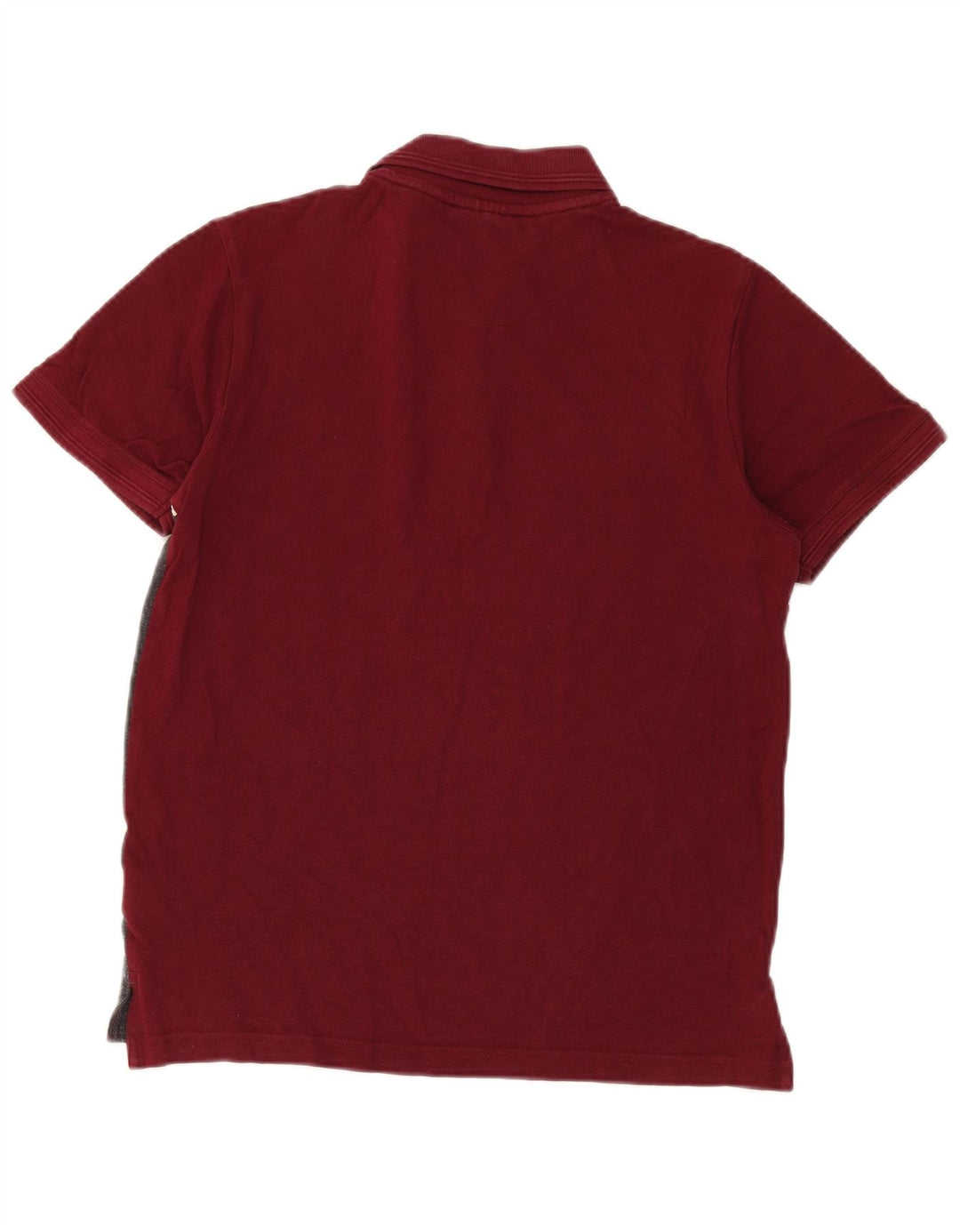 Camisa polo masculina Pierre Cardin Regular Fit pequena colorida colorida