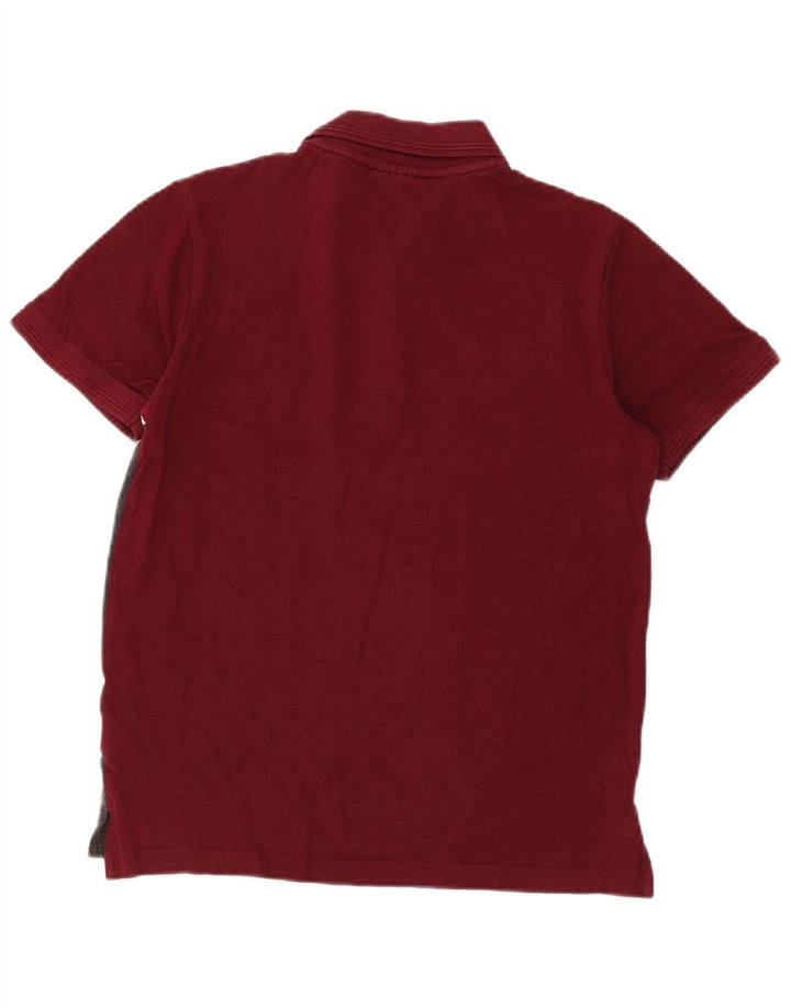 Camisa polo masculina Pierre Cardin Regular Fit pequena colorida colorida