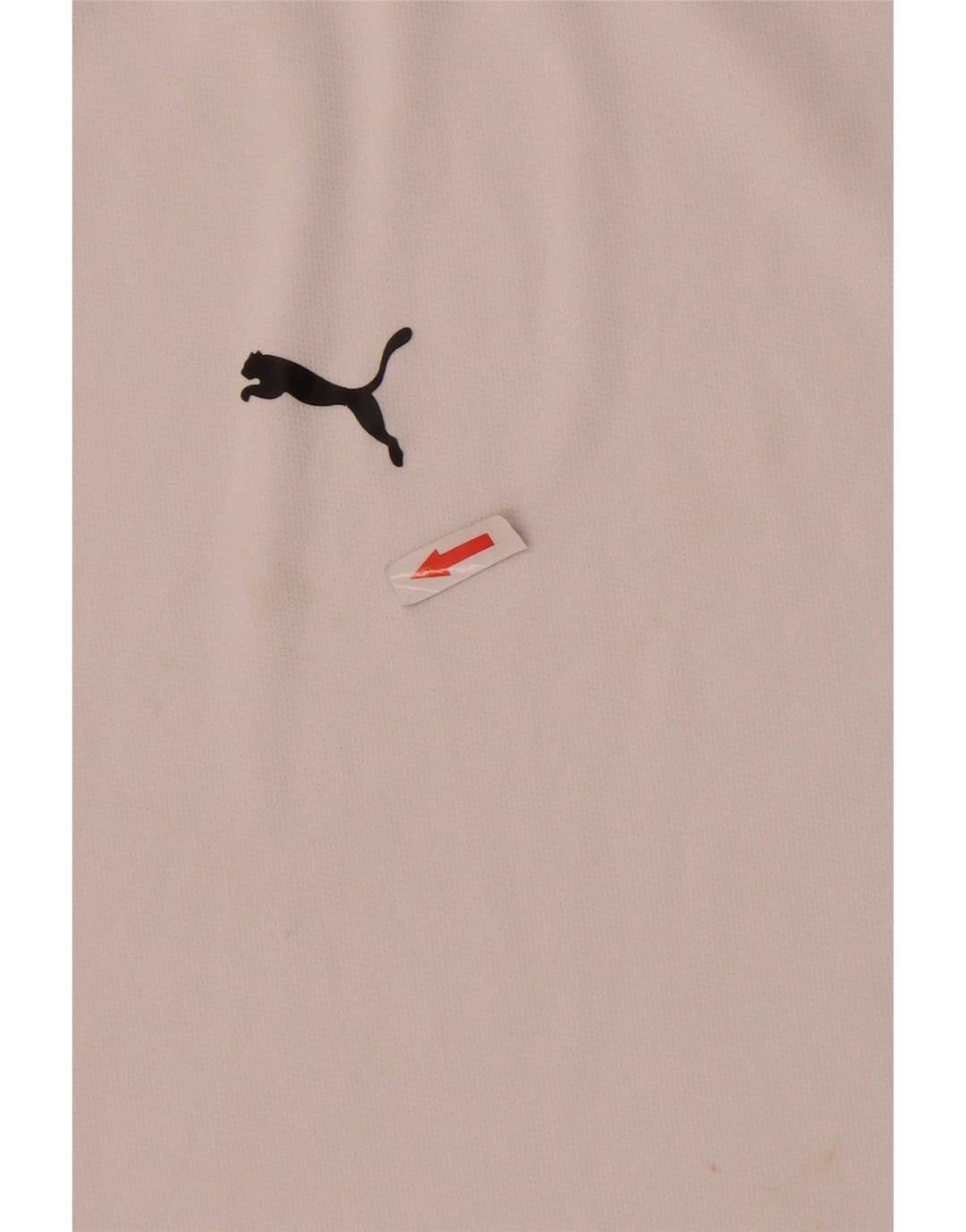Puma Camiseta masculina gráfica Top grande bloco de cor branca