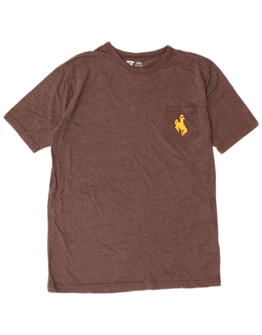 Camiseta masculina Russell Athletic com estampa gráfica de algodão marrom médio