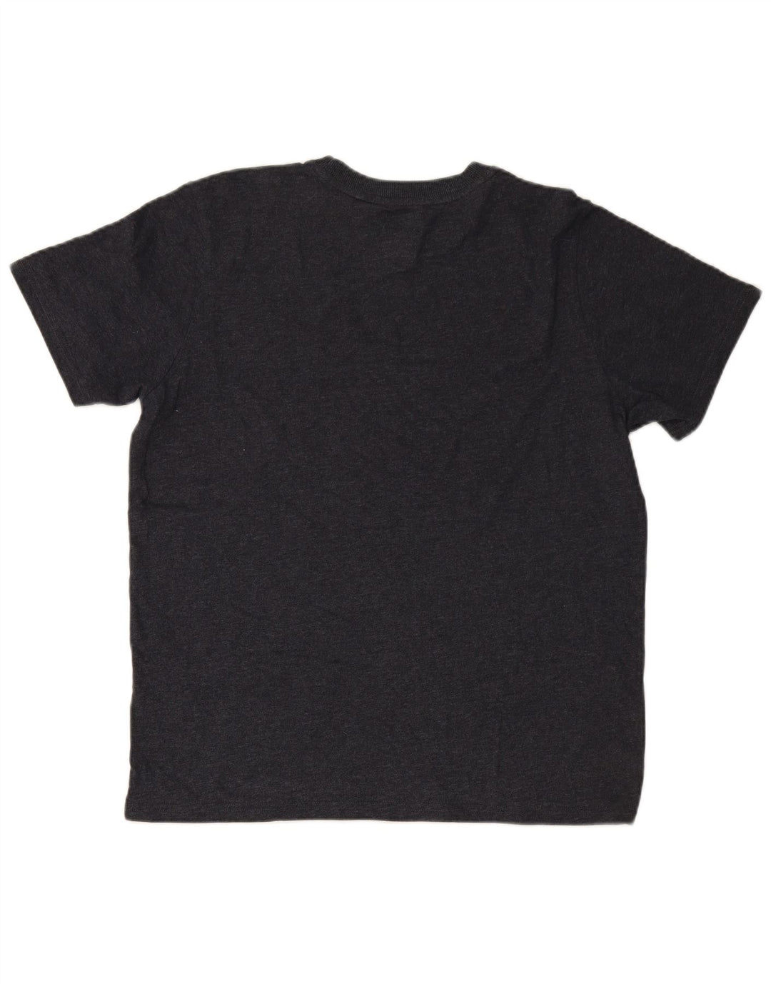 Camiseta gráfica masculina SUPERDRY Top XL cinza