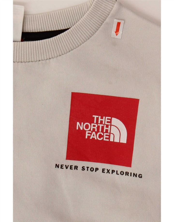 Moletom masculino The North Face, moletom pequeno cinza algodão