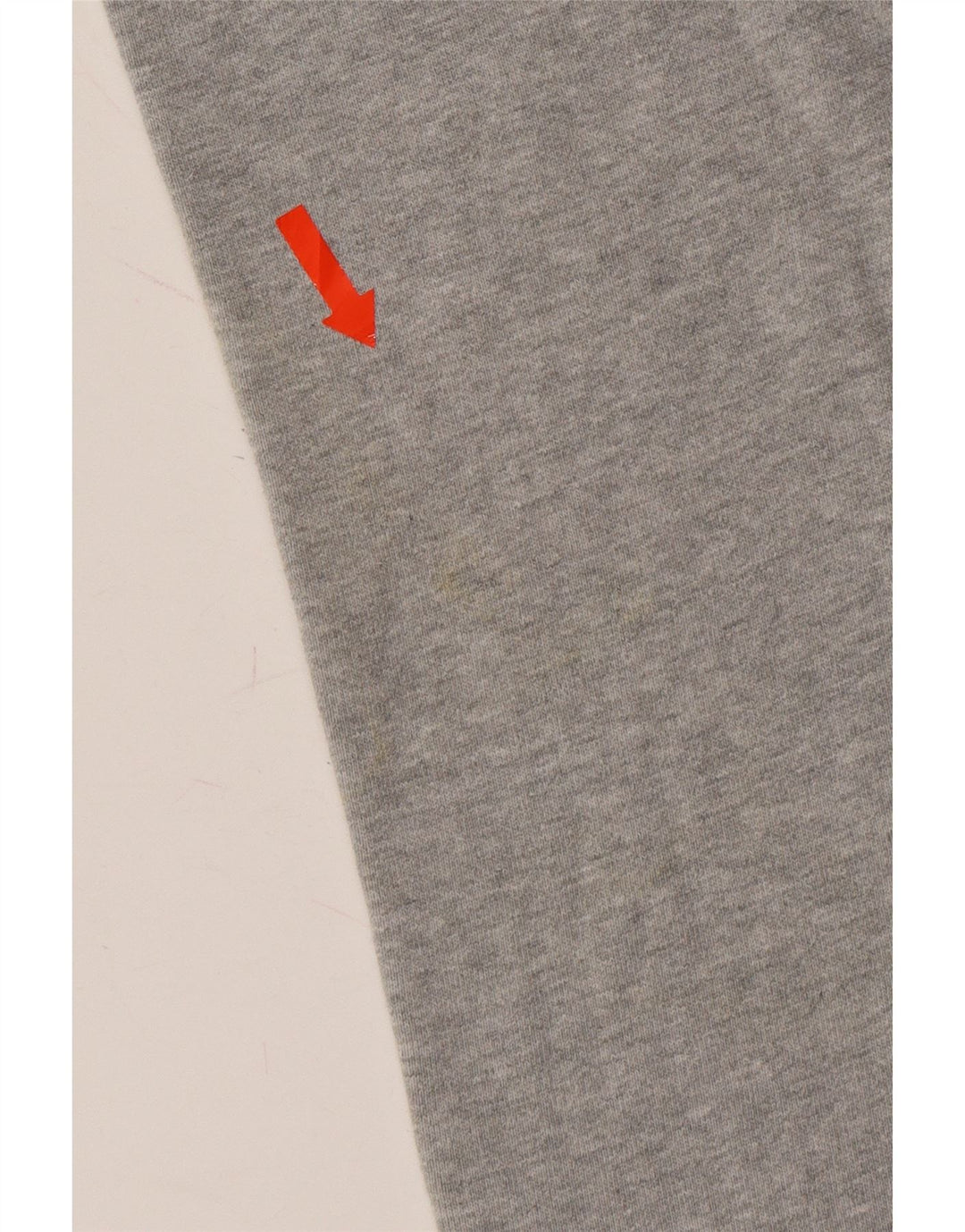 CHAMPION Womens Graphic Hoodie Jumper UK 14 Medium Grey Cotton Vintage Champion and Second-Hand Champion from Messina Hembry 