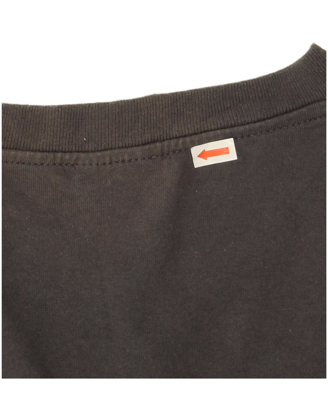 Camiseta masculina Champion XL cinza