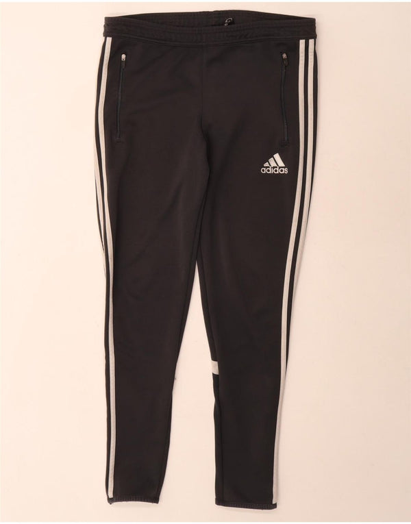 Calça de treino masculina Adidas Climalite pequena preta colorblock poliéster