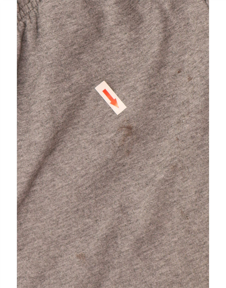 Shorts esportivos gráficos masculinos Puma cinza médio